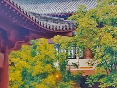 -喜茶(广州天汇igc店)