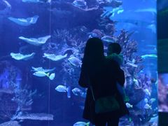 -多彩贵州城极地海洋世界