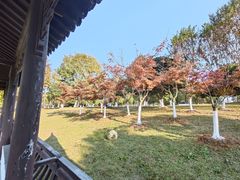 -敬亭山风景名胜区