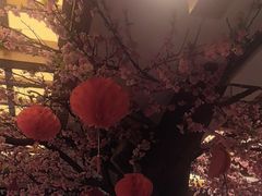-鸥迪足道(安庆店)