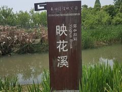 -长田漾湿地公园