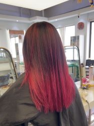 -镁连社·美联社