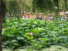 -长春市南湖公园