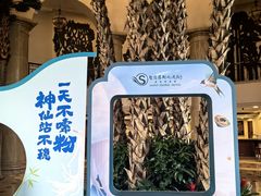-圣爵菲斯大酒店(长沙世界之窗店)