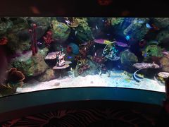 -沈阳海洋探索中心