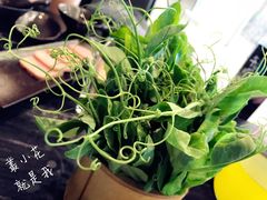 豌豆尖-王家渡火锅(金宝汇店)