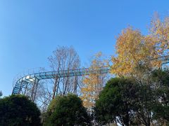 -千岛湖天屿景区