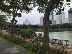 -万绿园