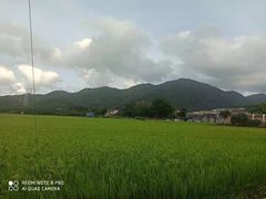 -大赤坎肥仔强烧味海鲜餐厅(大赤坎店)
