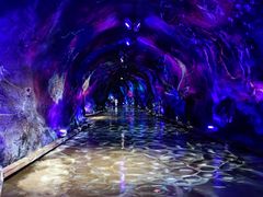 -栾川竹海野生动物园