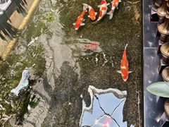 -福禧酒窖·中餐厅 (万柳店)