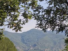 -秦始皇帝陵博物院-丽山园