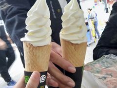 -麦当劳(文武路店)