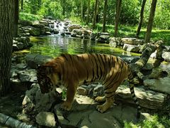 -北京野生动物园