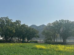-新安江山水画廊风景区