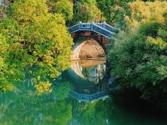 -八大山人梅湖景区