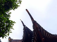 -阿育王寺