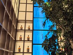 -桂满陇·海市蜃楼·黑金(国金店)