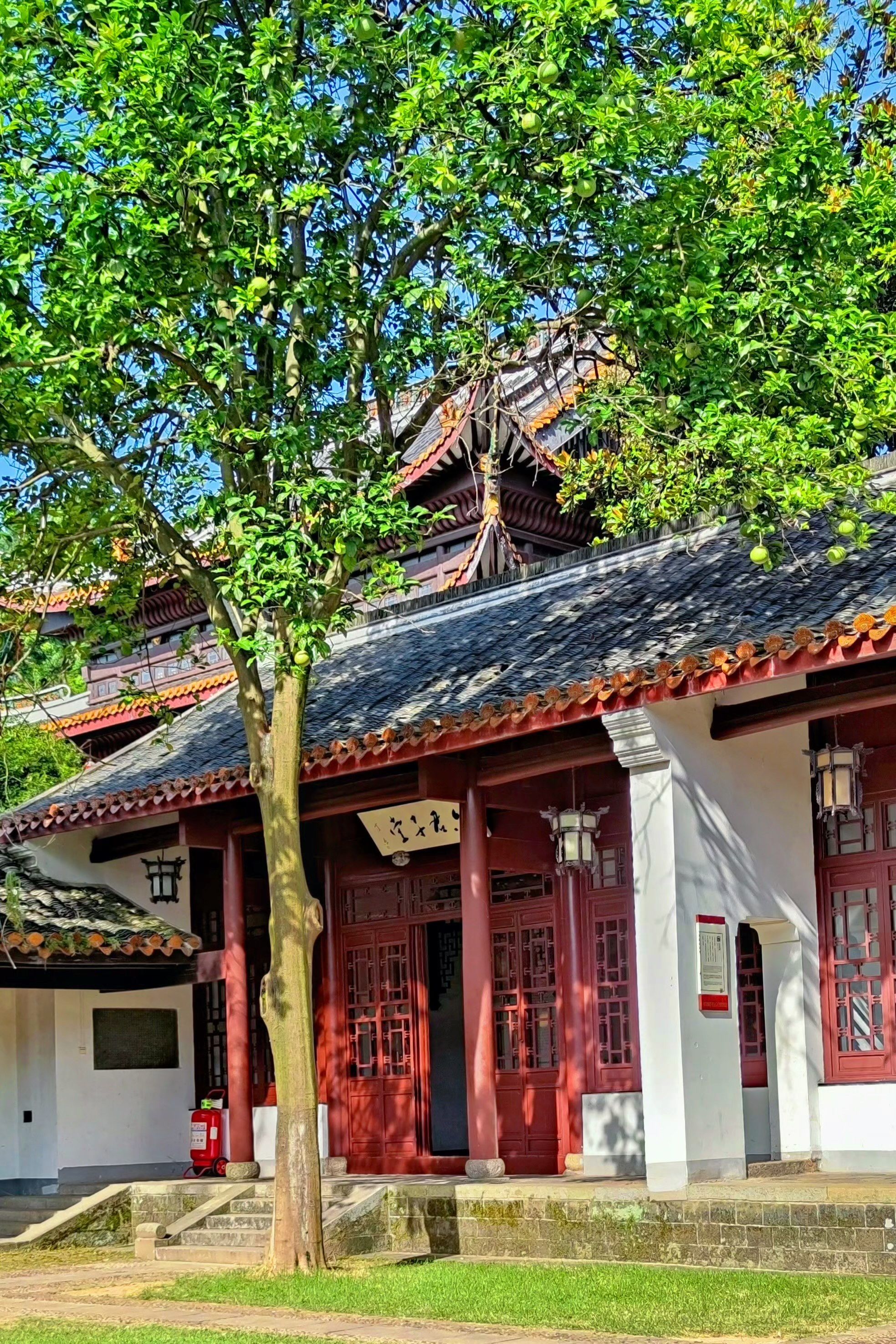 98长沙岳麓书院|夏天遛娃好去处!(附攻略)