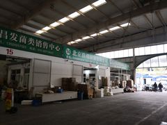 -北京新发地农产品批发市场-特菜交易厅