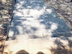 -火炉山森林公园