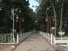 -林海公园