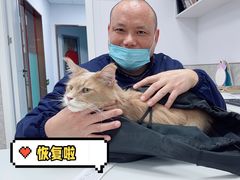 -良伴无忧宠物医院(泰欣嘉园店)