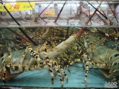 海鲜-渔民新村(番禺总店)