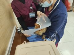 -美联众合动物医院·24h京西诊疗中心