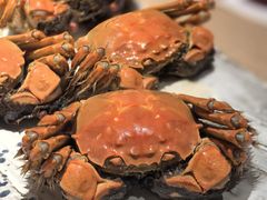 -匠和风精致料理(成都龙湖滨江天街店)