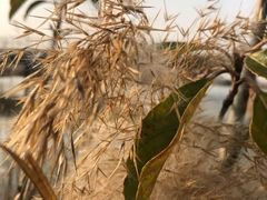 -上海滴水湖皇冠假日酒店