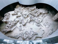 -自贡恐龙博物馆