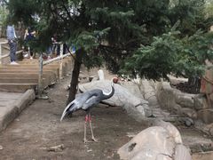 -哈尔滨北方森林动物园