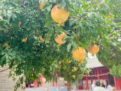 -洛阳周公庙博物馆