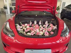 -TESLA 特斯拉(北京南四环中路特斯拉中心)