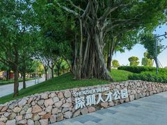 -深圳人才公园