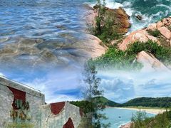 -广东惠东海龟国家级自然保护区