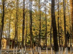 -艾溪湖湿地公园