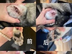 -听TA说宠咖·宠物生活馆(天韵水岸店)