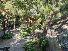 -北京鹫峰国家森林公园