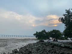 -宝安西湾红树林湿地公园