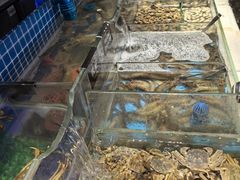 -加餐海鲜自助(宝龙一城店)