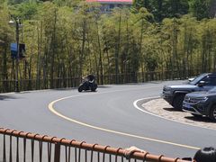 -莫干山风景区