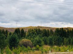 -塞罕坝国家级自然保护区