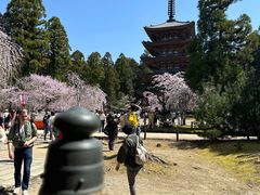 -醍醐寺