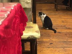 -郭家大院(新源店)