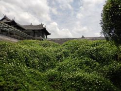 -成都飞越丛林探险乐园(锦绣城园区)