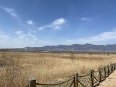 -野鸭湖国家湿地公园