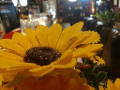 -芝士工厂(万达店)