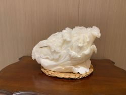 -铂诗玥医美